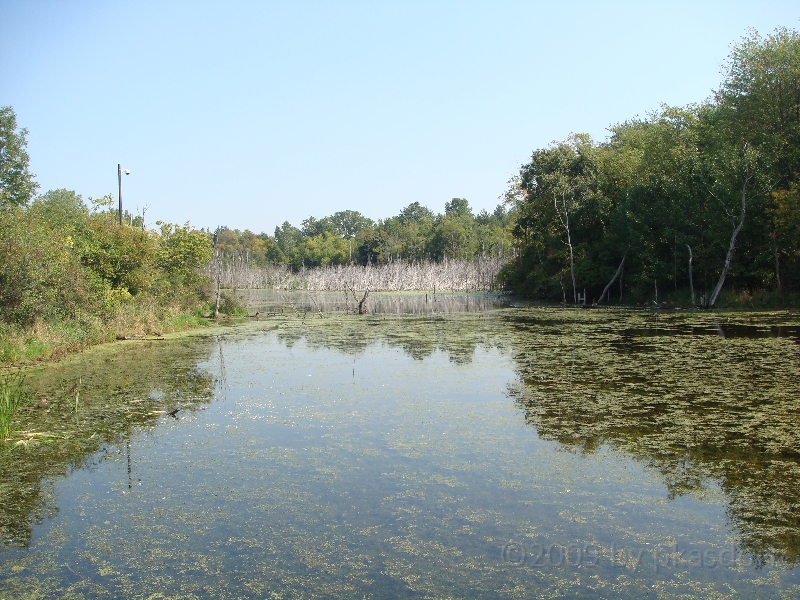 Western Michigan [2009] 373.JPG - Scenes from Frederik Meijer Gardens & Sculpture Park.